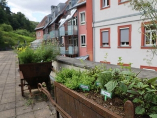 Tast- und Sinnesgarten im Kloster Oberzell.