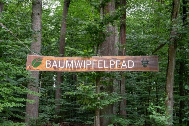 Ein großes Schild hängt zwischen den hohen Bäumen, darauf steht Baumwipfelpfad.