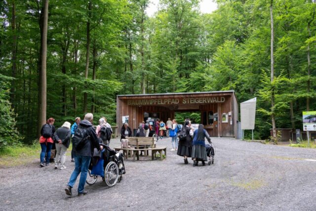 Die Ausflugsgruppe nähert sich dem Eingang zum Baumwipfelpfad.