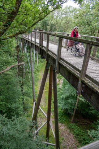 Auf dem Holzsteg in luftiger Höhe wird eine Schwester im Rollstuhl geschoben.