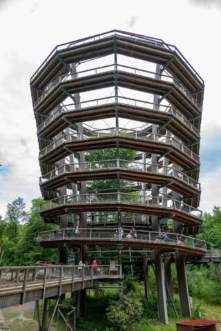 Das Bild zeigt den Turm des Baumwipfelpfades.