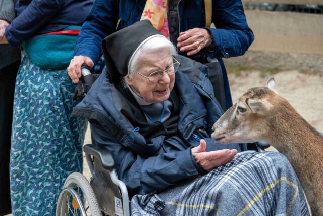 Eine Schwester im Rollstuhl hält einer Ziege vorsichtig die Hand hin.