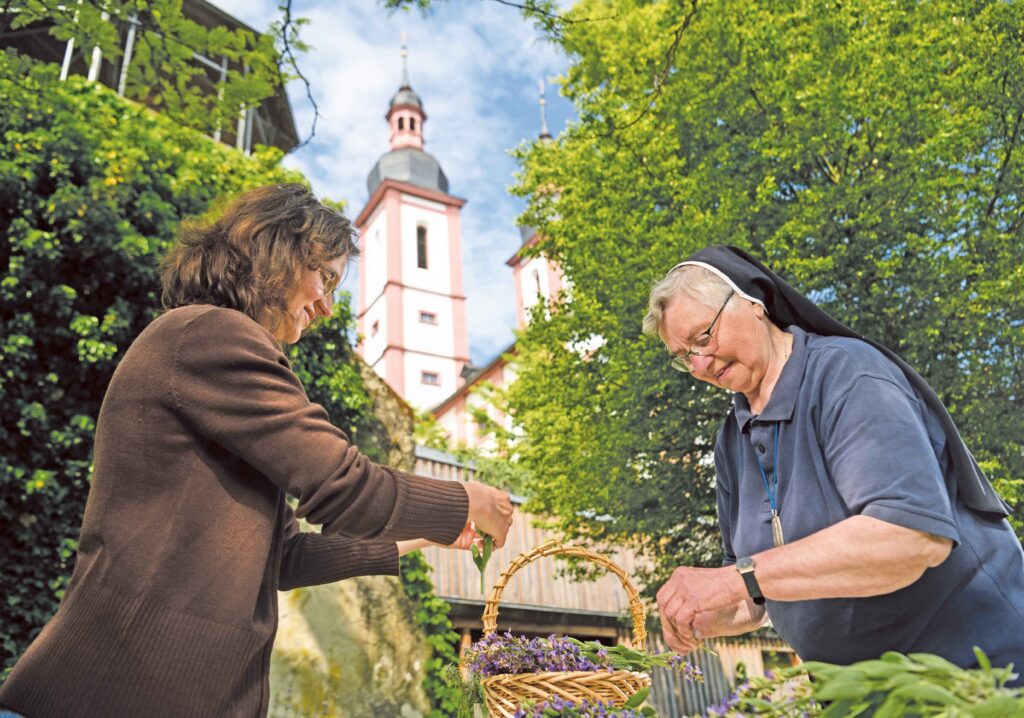 Schwester Reingard Memmel zupft mit einer Ehrenamtlichen Lavendel aus dem Heilkräutergarten.