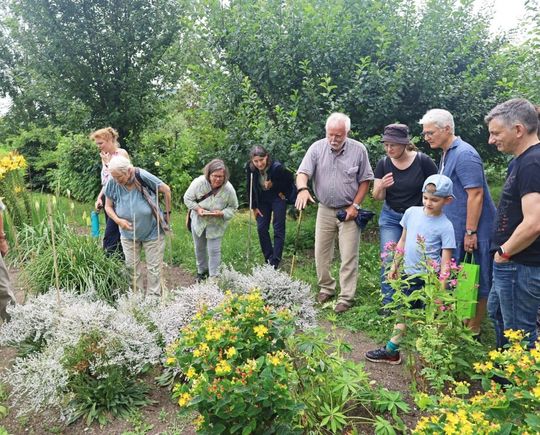Insektenführung im Klostergarten Oberzell.