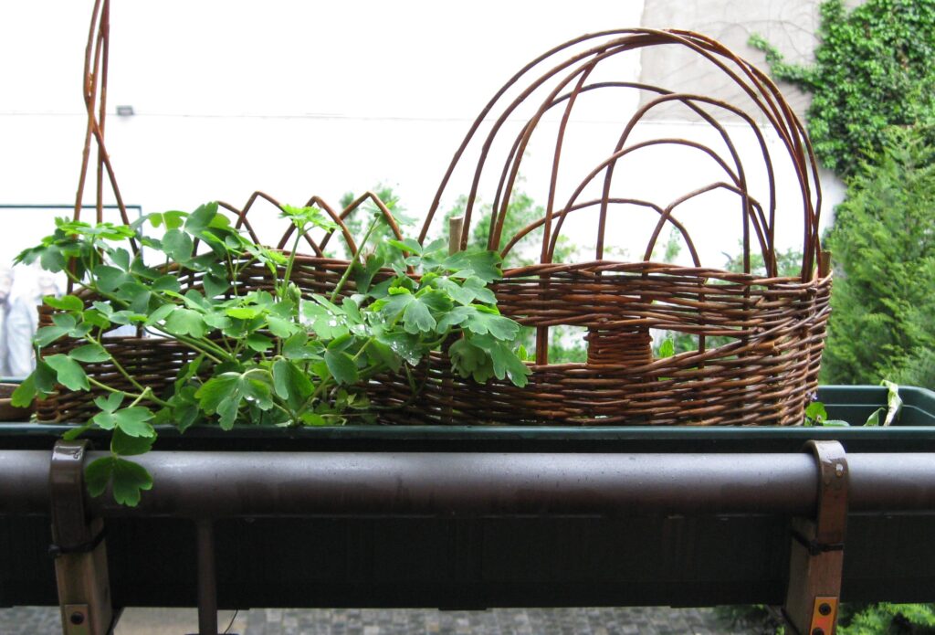 Balkonrankerl aus Weide geflochten