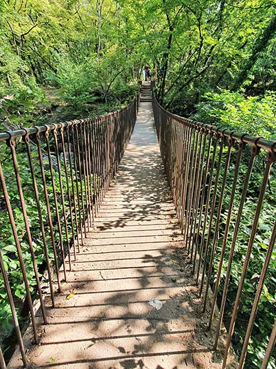 Lebensweg symbolisiert durch eine Hängebrücke im Grünen.