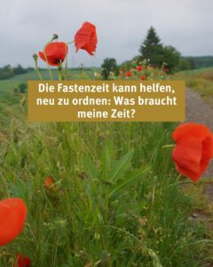 Mohnblumen am Wegrand mit Blick in die Ferne